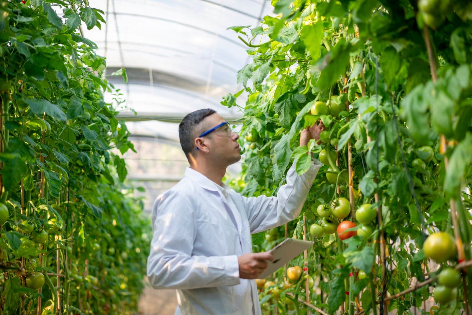 AWS - Solutions for Agriculture